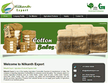 Tablet Screenshot of nilkanthexport.com